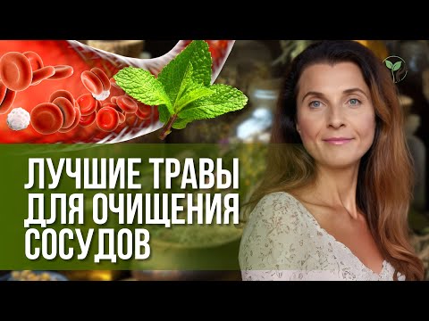 Видео: Травы которые чистят сосуды и улучшают мозговое кровообращение
