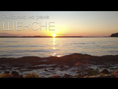 Видео: Рыбалка на реке Шексне. В поисках судака.