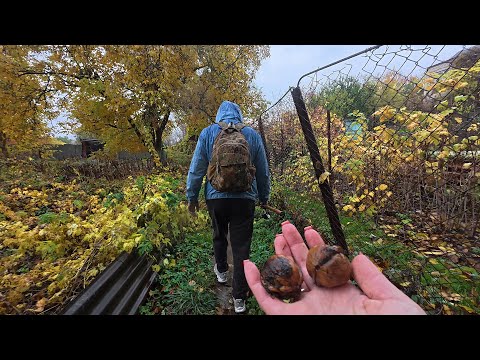 Видео: Осіння риболовля, нові місця та трішки пригод