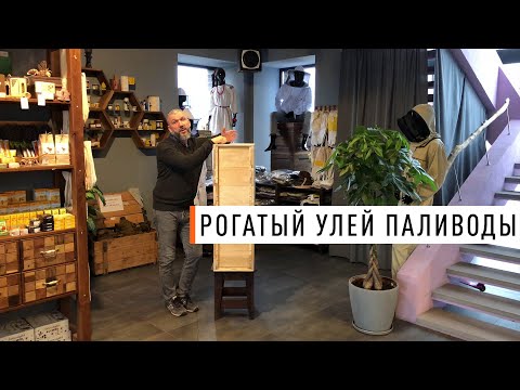 Видео: Новый Рогатый улей от компании Парк Плюс