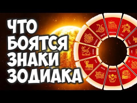 Видео: ЧТО БОЯТСЯ ЗНАКИ ЗОДИАКА🙀😱