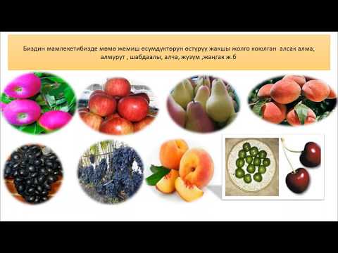 Видео: жалпы биология. Өсүмдүк селекциясы. Шерматова Гүлайым Кубанычбековна
