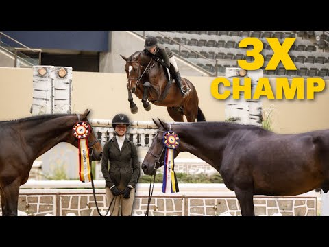 Видео: Чемпион TRIPPL в Кентукки!! + финал за откидное сиденье!