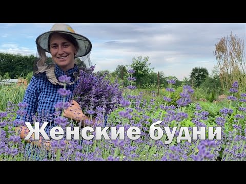 Видео: Женские будни//Собираю урожай//заготавливаю травы//сад цветет