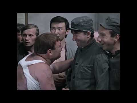 Видео: Не тухлопритон Гиппо. Обманывали и будут обманывать