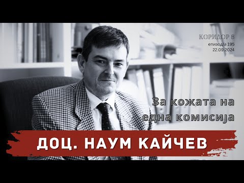 Видео: Коридор 8 - еп. 195 - За кожата на една комисија (разговор со доц. д-р Наум Кајчев)