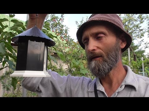 Видео: Антилай из Китая в действии