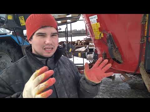 Видео: Приготовление кормов для дойных коров
