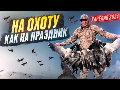 Видео: Охота на гуся. Карелия 2024