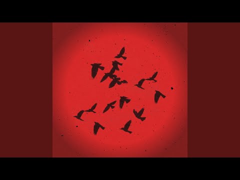 Видео: Лететь как птица