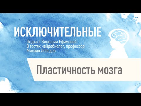 Видео: "Пластичность мозга" Михаил Лебедев, В.Л. Ефимова.