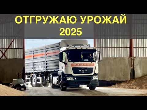 Видео: Почему не доволен ВОДИТЕЛЬ? Отгрузка зерна 2025