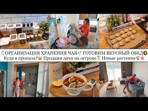 Видео: ОРГАНИЗАЦИЯ ХРАНЕНИЯ ЧАЯ🫙• ГОТОВИМ ВКУСНЫЙ ОБЕД🥘• КУДА Я ПРОПАЛА?😄• ПРОДАЖА ДАЧИ🏝️• НОВЫЕ РАСТЕНИЯ🪴🌸