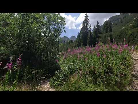 Видео: До хижа Мальовица   Maljovitza hut