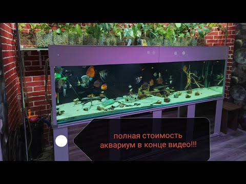 Видео: цена большого аквариума (стоимость)