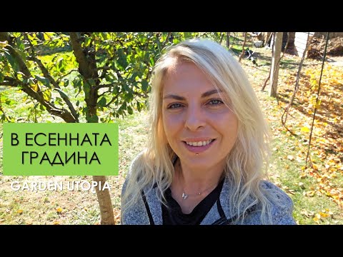 Видео: ЗАЗИМЯВАНЕ на ЗЕЛЕНЧУКОВАТА градина, подредба на ДЕКОРАТИВНИ растения