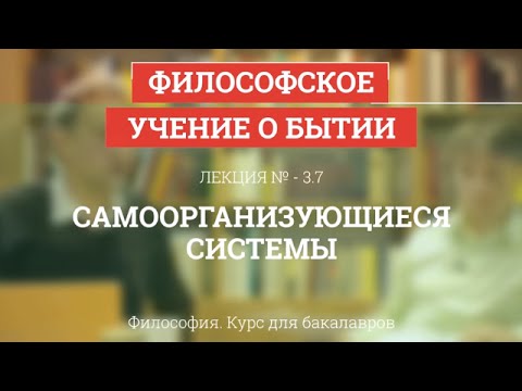 Видео: 3.7 Самоорганизующиеся системы - Философия для бакалавров