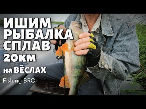 Видео: 20км на ВЁСЛАХ - СПЛАВ и РЫБАЛКА ИШИМ 🎣 Акмешит - Зелёный Гай