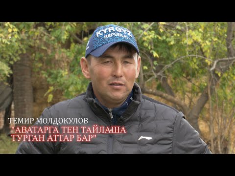 Видео: 1+1 интервью/ Темир Молдокулов “Достукта машыктыруучу болуп калам деп ойлойм”