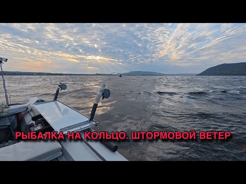 Видео: ЛЕЩ НА КОЛЬЦО В ШТОРМОВОЙ ВЕТЕР