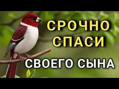 Видео: Повторите эту молитву и ваш СЫН будет под защитой! Лучшие молитвы, слушать минимум один раз в день