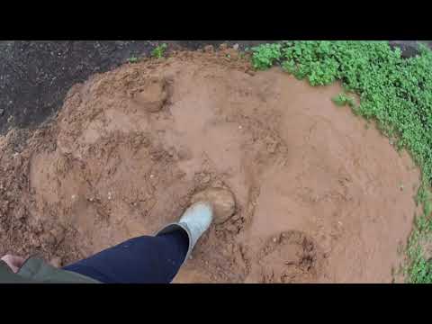 Видео: Колодец пересохло как вернуть воду 