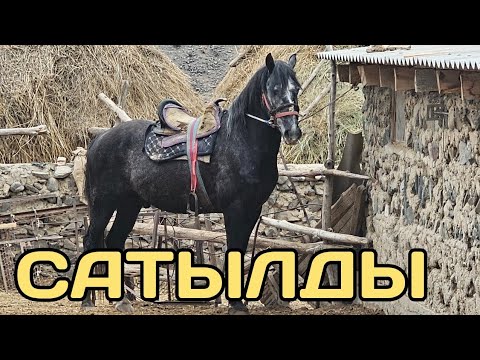 Видео: САТЫЛДЫ ЧАЛМАЙ ЖОК