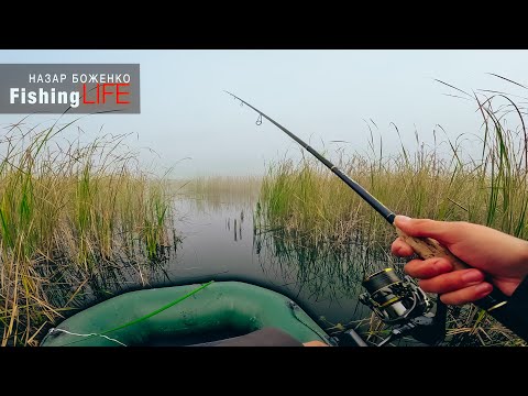 Видео: Осінній ЖОР Щуки На Торфовиську - Рибалка З Човника