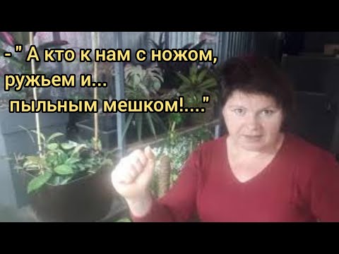 Видео: Агрессия в соцсетях!!!  Как же с этим справиться?🤬