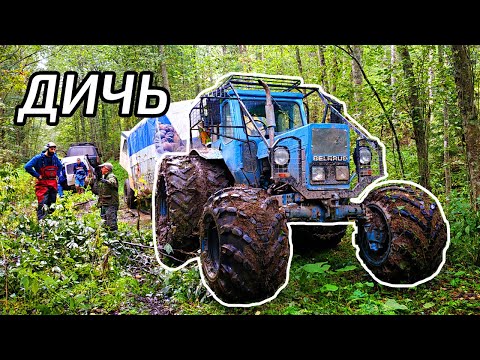 Видео: Ралли оффроад по лесным дорогам