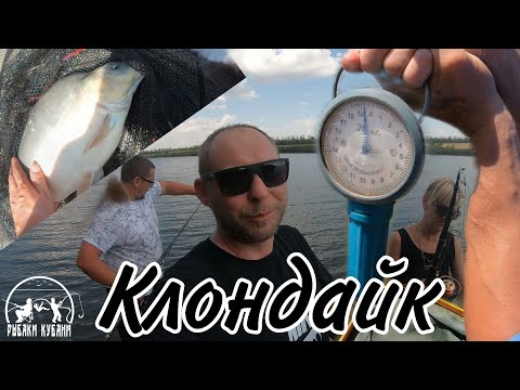 Видео: РЫБАЛКА НА БАЗЕ КЛОНДАЙК | РЫБАКИ КУБАНИ