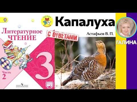 Видео: Литературное чтение 3. Капалуха. Астафьев В. П. С ответами