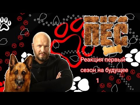 Видео: Реакция пса 1-го сезона на будущее/1//?/