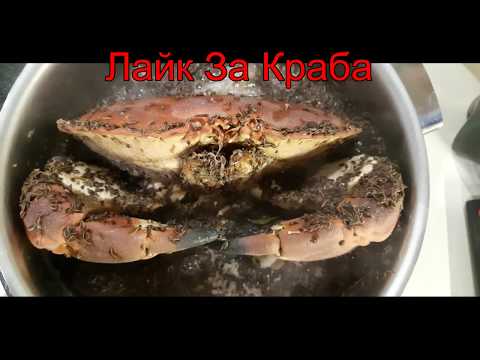 Видео: Крабы. Как их есть??? Простой способ!