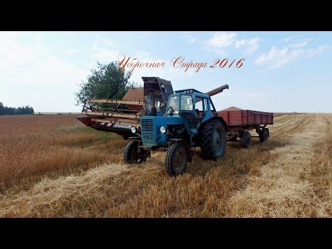 Видео: Уборочная Страда 2016. Часть 1.