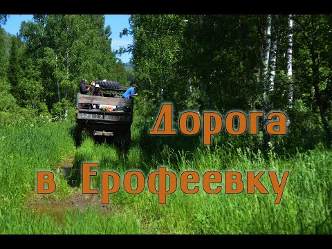 Видео: Дорога в Ерофеевку, на лесовозе.