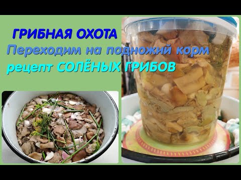 Видео: Старинный рецепт СОЛЁНЫХ ГРИБОВ от моих родителей!ГРИБЫ получаются  душистыми,вкусными