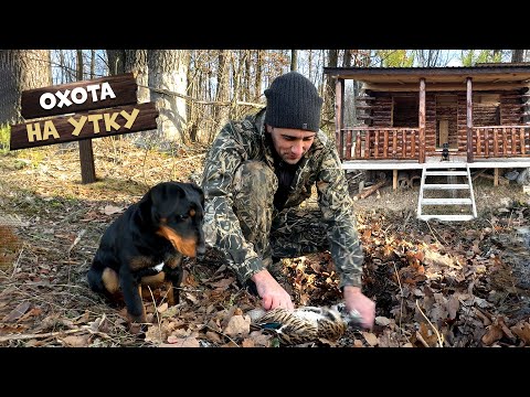 Видео: Крашу лесной домик! Поставил сеть и кружки! Охота на утку Шулюм из утки