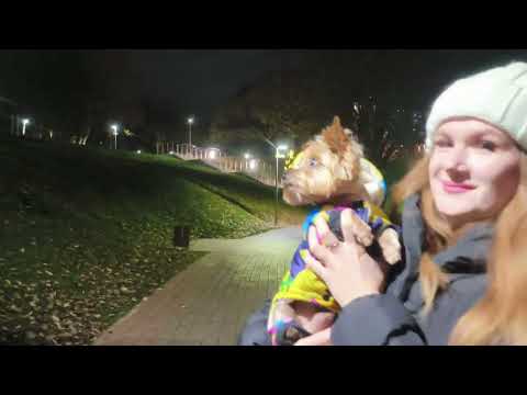 Видео: Осенний парк у цирка в г. Кирове.