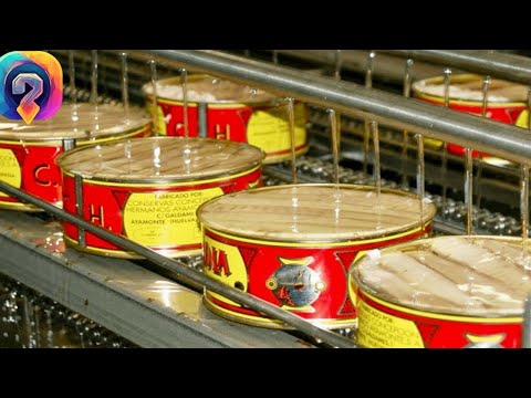 Видео: Как МИЛЛОНЫ банок тунцов изготавливают на фабрике. Уникальные кадры!