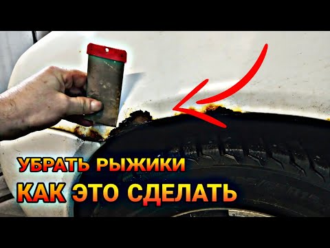 Видео: Как убрать рыжики и жучки за пару часов!!!
