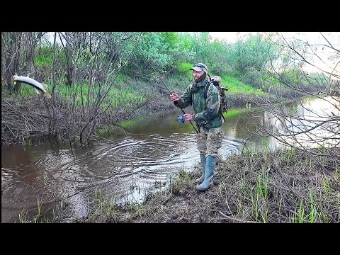 Видео: УДИВИТЕЛЬНО! РЫБА СТОИТ ТОЛЬКО ЗДЕСЬ! ЛОВИМ ЩУКУ И ОКУНЯ В УЗЕНЬКОМ РУЧЬЕ / РЫБАЛКА НА СПИННИНГ.