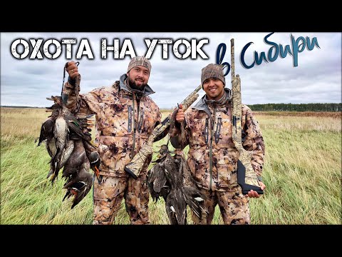 Видео: Охота на уток в Сибири | Сезон охоты 2021 с новыми ружьями