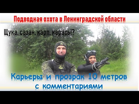 Видео: 🐳🐟Подводная охота в Ленинградской области#карьеры#сазан#щука
