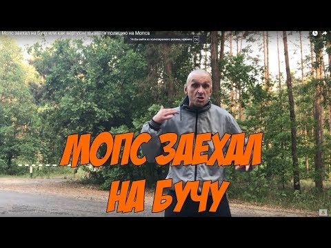 Видео: Мопс заехал на Бучу или как вертухаи вызвали полицию на Мопса