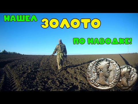 Видео: Коп на поле где нашли золотой клад.Не все золото выкопали,еще есть!