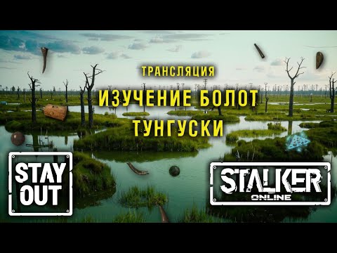 Видео: Сталкер онлайн/StayOut Изучение болот Тунгуски! Дорога от 0 к ТОП!  365й день в Зоне