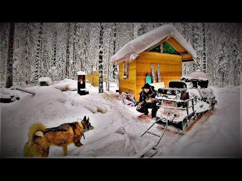 Видео: “ТАЙГА” МОРОЗЫ -37 ДОБРАЛСЯ ДО ИЗБЫ! ПРОДОЛЖАЮ СТРОИТЕЛЬСТВО! ПРОБИРАЮСЬ В ЛЕС ЗА ТРАКАМИ ОТ ТДТ 55.
