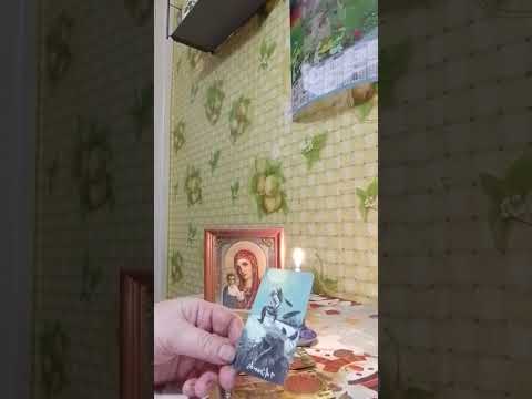 Видео: Почему Вас нельзя обижать? 🤔⚖️🕊