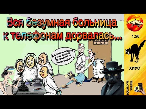Видео: Телефонное мошенничество. Автор - Хиус